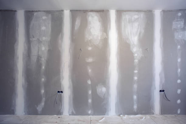 Best Drywall Patching  in Wyoming, MN